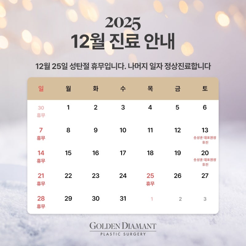 [병원공지] 12월 진료 일정 안내